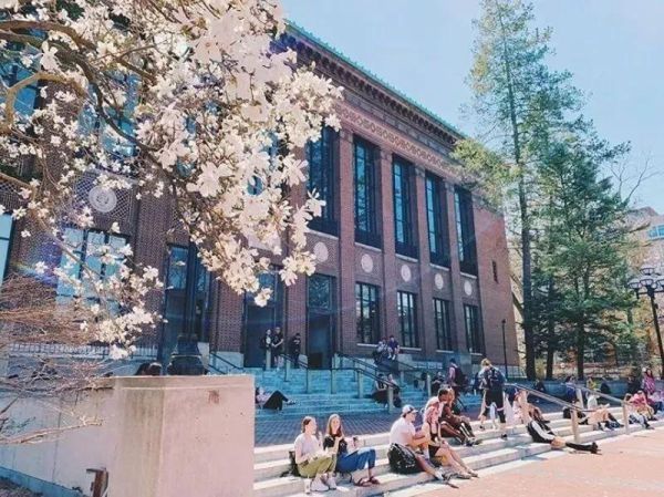 美国前十大学排名（美国公立大学排名TOP10出炉）