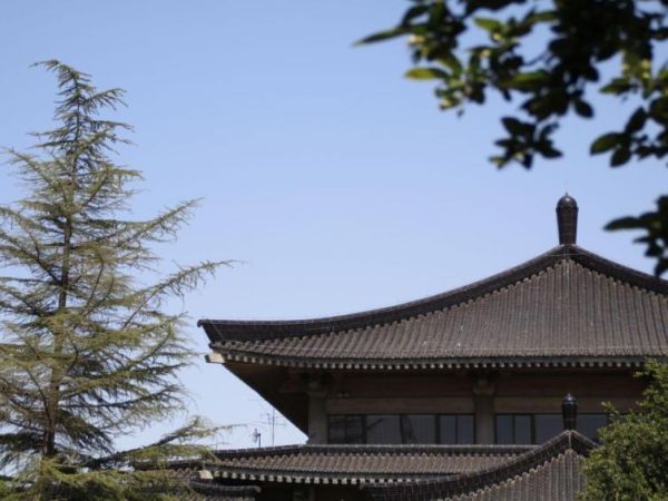 西安十大名胜古迹（西安旅行10个最值得去的景点推荐）