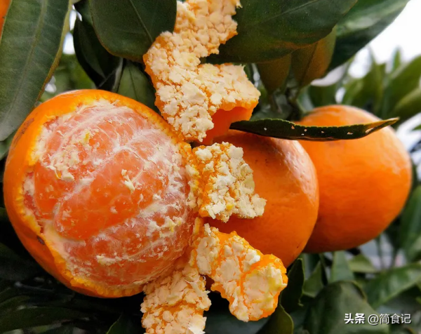 中国十大蜜桔排名（这8地橘子好吃出名）