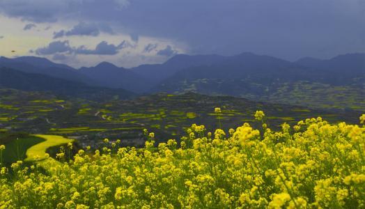 天水市十大旅游景点排名（这10个景点非常适合自驾去）