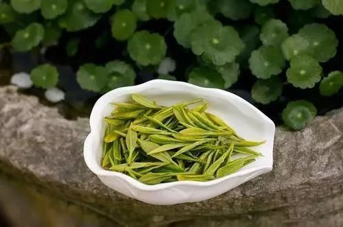 十大名茶排名及产地（中国十大名茶产地在哪里）
