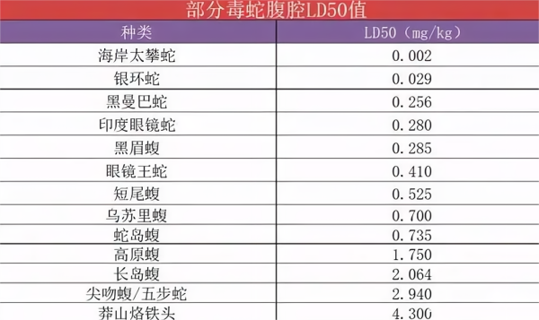 世界上最毒的生物十大排名（10种地球上的最毒生物）