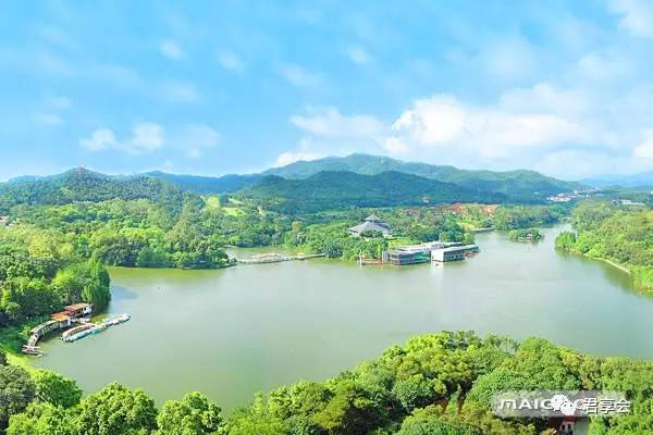 广州亲子游十大好去处（10个周末遛娃亲子游景点）