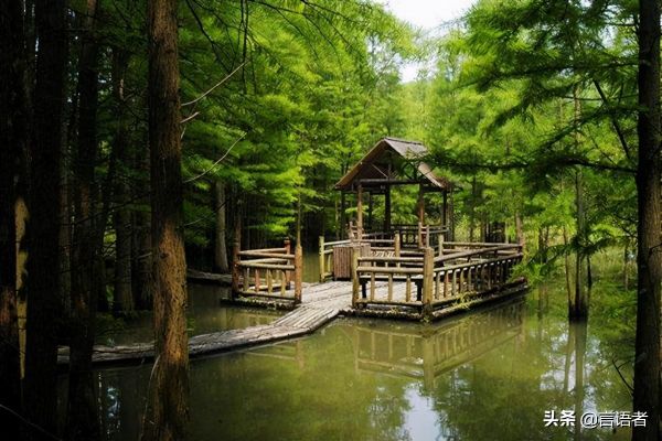 南京有什么名山（南京十大旅游名山盘点）