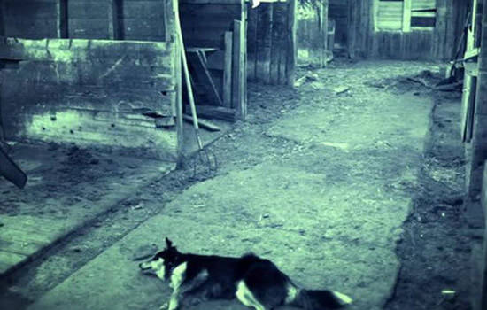 世界十大死亡禁地（全球十大恐怖死亡禁地）