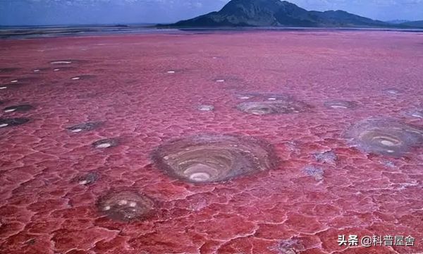 全球十大恐怖禁地（世界十大恐怖禁地排名）