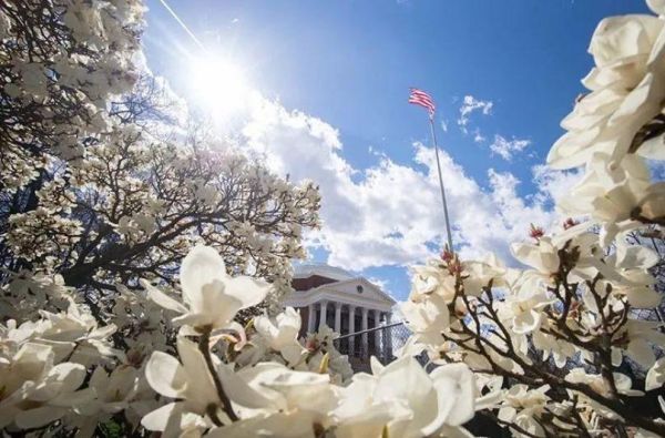美国前十大学排名（美国公立大学排名TOP10出炉）