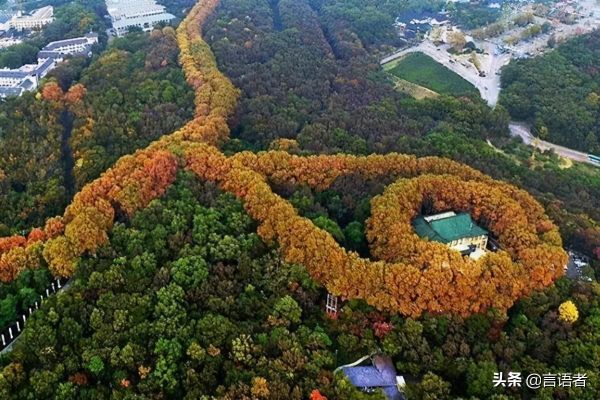 南京有什么名山（南京十大旅游名山盘点）