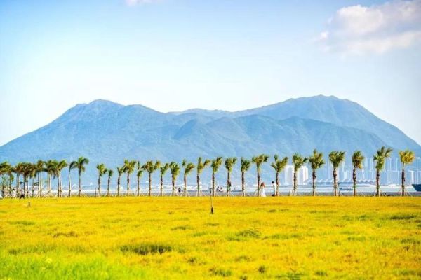 香港十大著名景点排名（2022香港本地十大旅游热门打卡地）