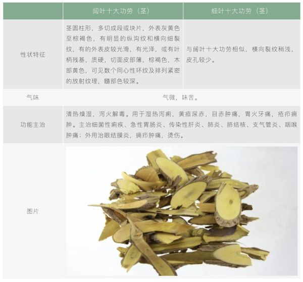 十大功劳的别名（附带相关介绍）