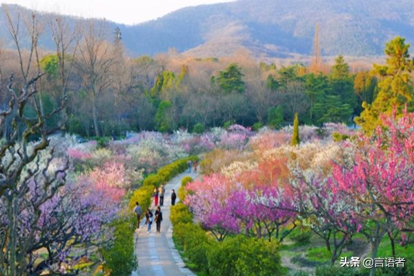 南京有什么名山（南京十大旅游名山盘点）