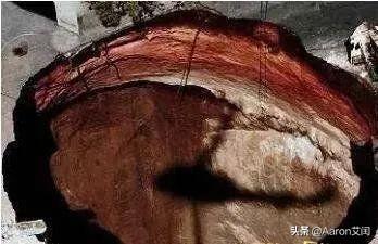 世界十大灵异事件，盘点世界上真实存在的十大灵异事件