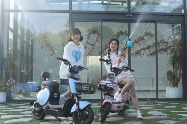 电动自行车十大品牌，十大电动自行车品牌排行榜