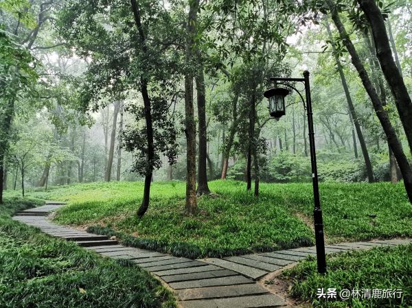 中国最凉快的十大城市,10个国内比较出色的避暑城市