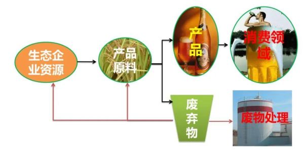 全球十大环境问题，如何应对循环经济与环境问题？