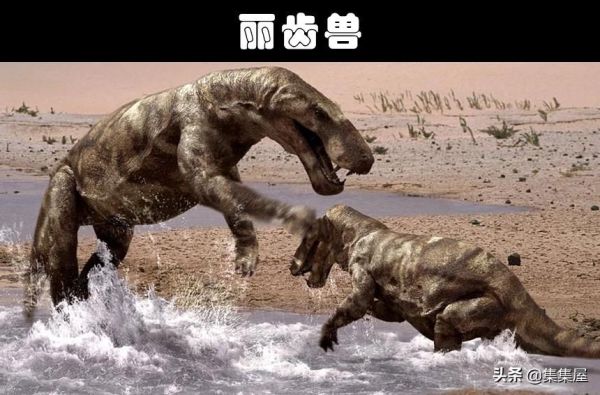 史前最危险的十大巨兽，这10个生物比巨齿鲨还可怕