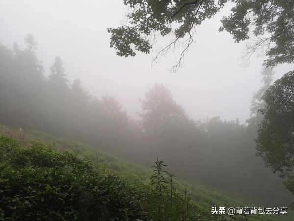 安徽必去十大旅游景点(安徽十大著名景点推荐) 安徽必去十大旅游景点(安徽十大著名景点推荐)