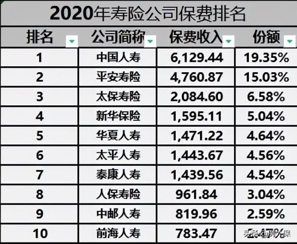 保险公司十大排名（中国十大人身保险公司介绍）