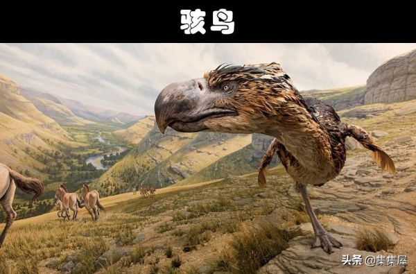 史前最危险的十大巨兽，这10个生物比巨齿鲨还可怕
