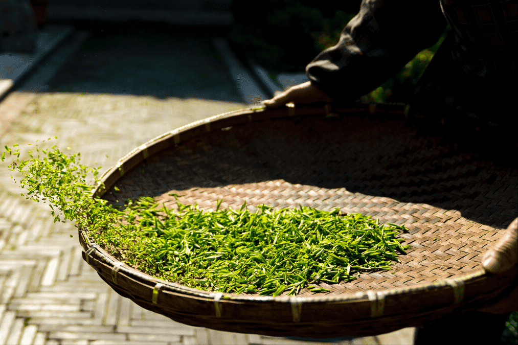 中国十大名茶是哪十种(中国10大名茶是哪些)