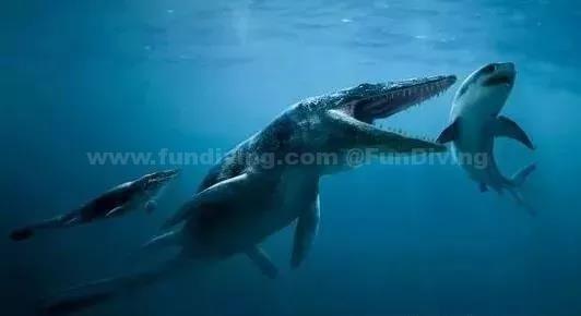 十大远古海洋巨兽,曾经的海洋十大霸主 十大远古海洋巨兽,曾经的海洋十大霸主