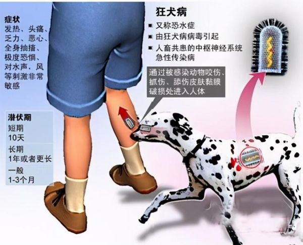 十大最厉害的病毒，世界上排名前十的致命病毒