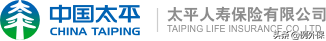 保险公司十大排名（中国十大人身保险公司介绍）