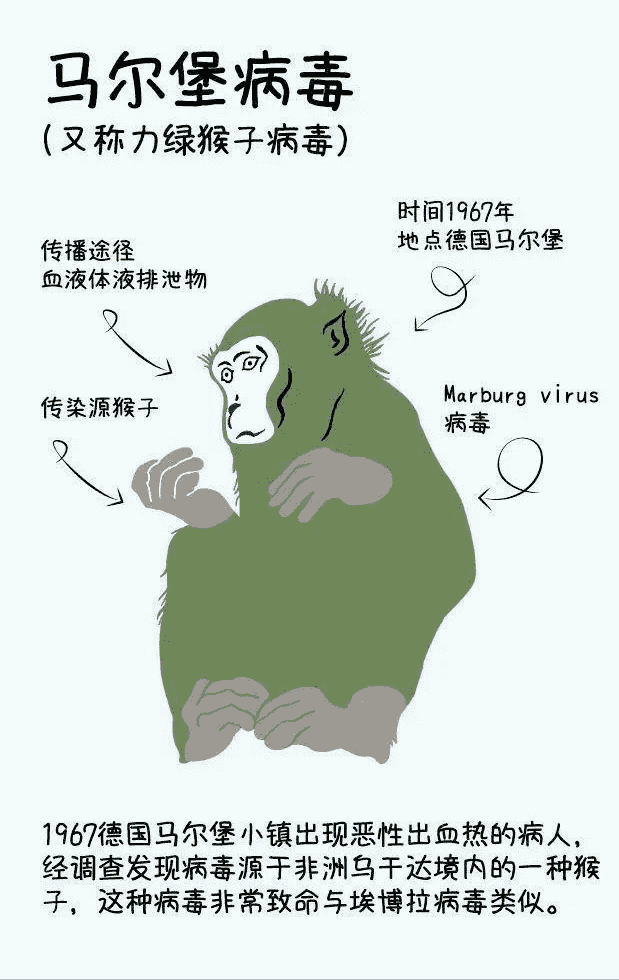 十大最厉害的病毒，世界上排名前十的致命病毒