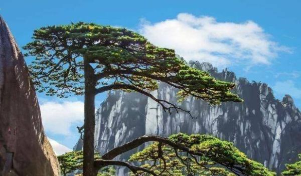 暑假穷游十大暑假景点（适合大学生暑假去穷游10个地方）