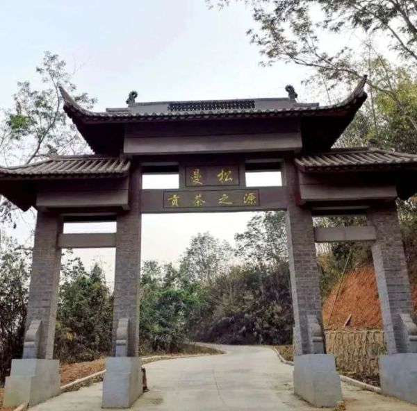 普洱茶十大名牌价格表(2022年价格最贵的十大普洱茶)