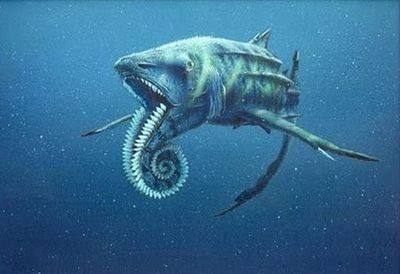 海洋十大霸主排名，海洋10大霸主排行榜