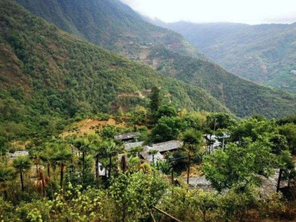 普洱茶十大名牌价格表(2022年价格最贵的十大普洱茶)