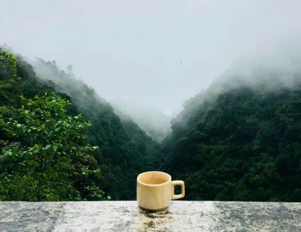 中国有哪十大名茶，中国十大名茶是哪十种
