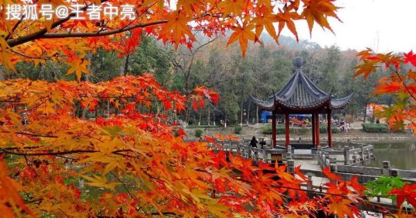10月份去哪里旅游最好（适合10月份出游的十大景点）