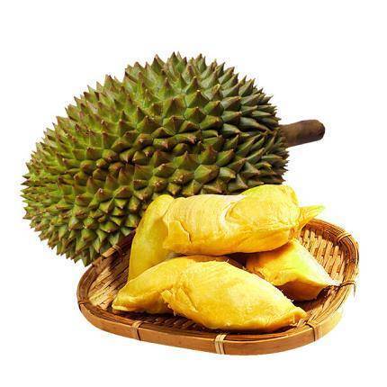 榴莲品种十大排名（介绍榴莲的15个品种）