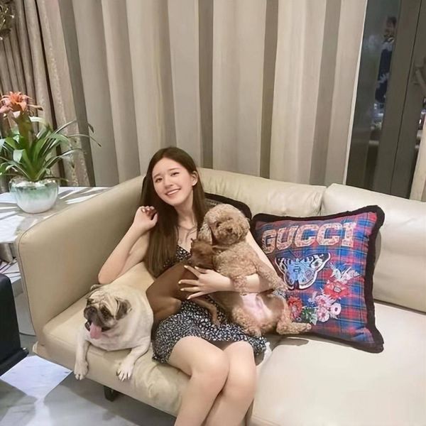 赵露思个人资料（赵露思凭什么出道就女一）