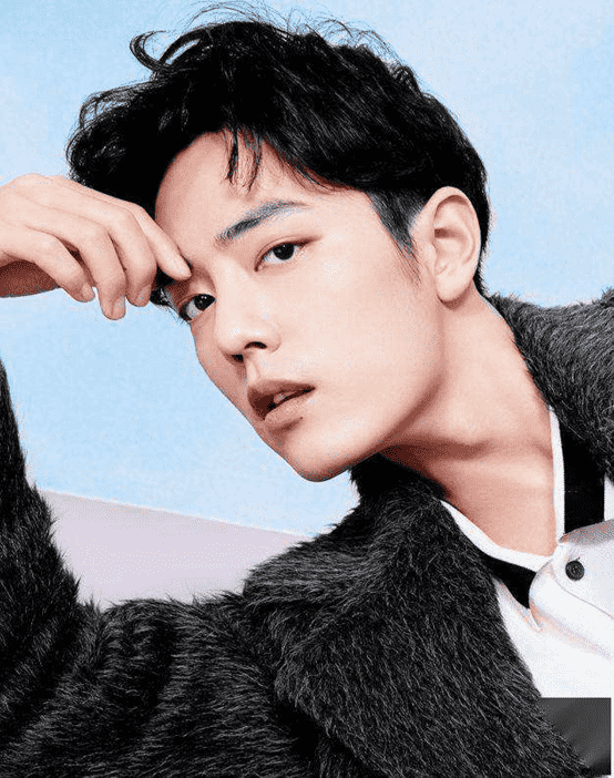中国颜值最高十大男星(中国男明星颜值排行榜)