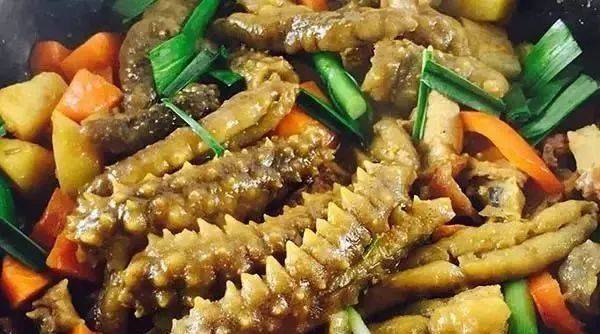 海参的十大功效（海参的十大滋补功效盘点）