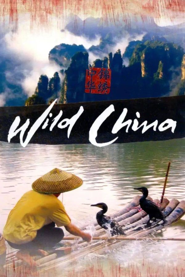 中国十大必看纪录片，值得N刷的10部纪录片推荐