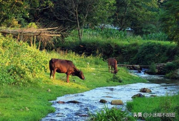 中国传统文化十大雅俗（古代十大雅事盘点）