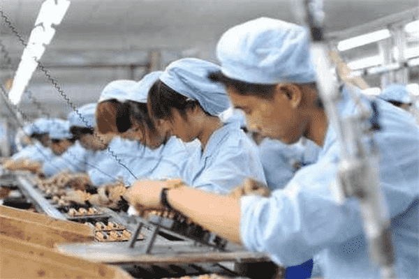 低学历女生吃香的十大职业（低学历女生适合的职业）