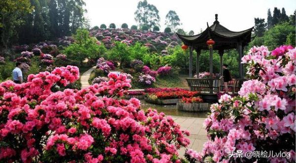 成都旅游必去十大景点推荐（去旅游必去的10个地方）