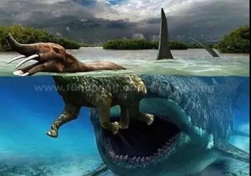 十大远古海洋巨兽,曾经的海洋十大霸主 十大远古海洋巨兽,曾经的海洋十大霸主