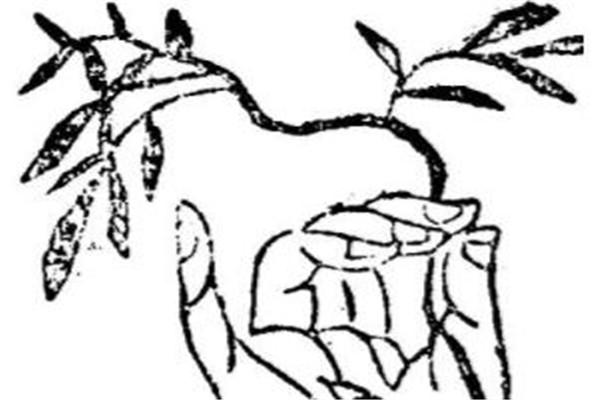 十大极品混沌灵根(混沌十大灵根排行榜)