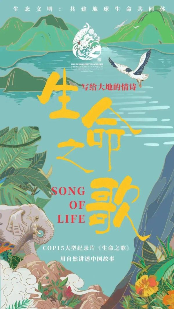 中国十大必看纪录片，值得N刷的10部纪录片推荐
