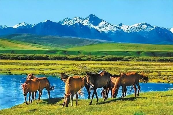 甘肃旅游必去十大景点，甘肃10个最值得去的美景地推荐