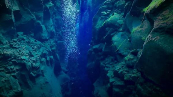 马里亚纳海沟十大恐怖生物（马里亚纳海沟发现的10种神秘生物）