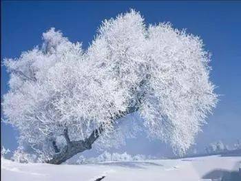 长春十大旅游景点,一定要去的10个打卡胜地 长春十大旅游景点,一定要去的10个打卡胜地