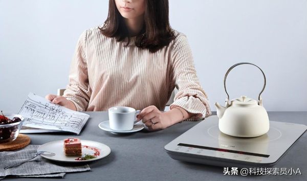 电磁炉十大排名（2022国产十大电磁炉品牌前十名）