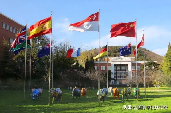 北京十大私立学校(2022北京前十名私立学校)